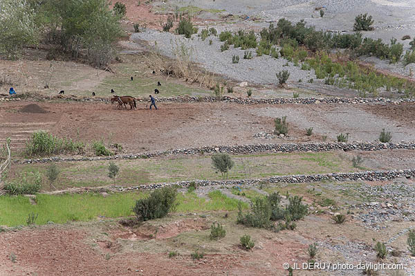 Maroc
Vallée de l'Ourika